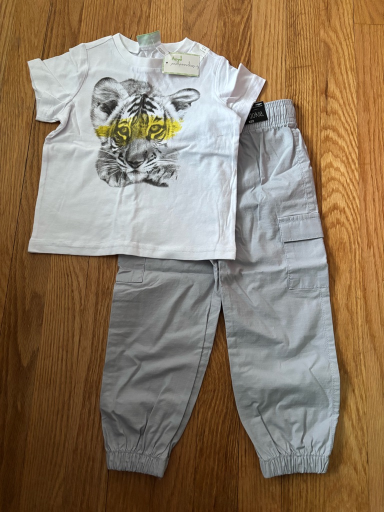Baby Boys First Impressions Tiger Tee & Light Gray Cargo Joggers Set - 24m